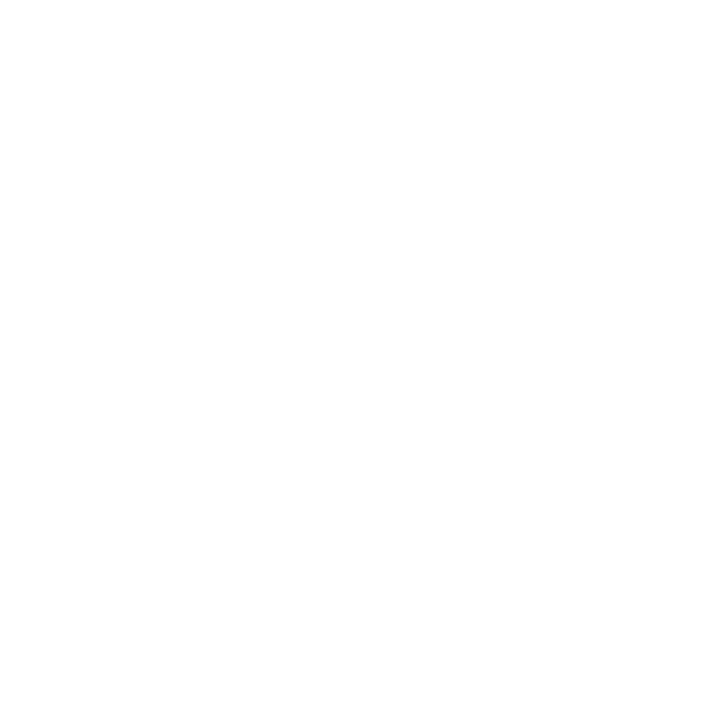 Washmountain Logo